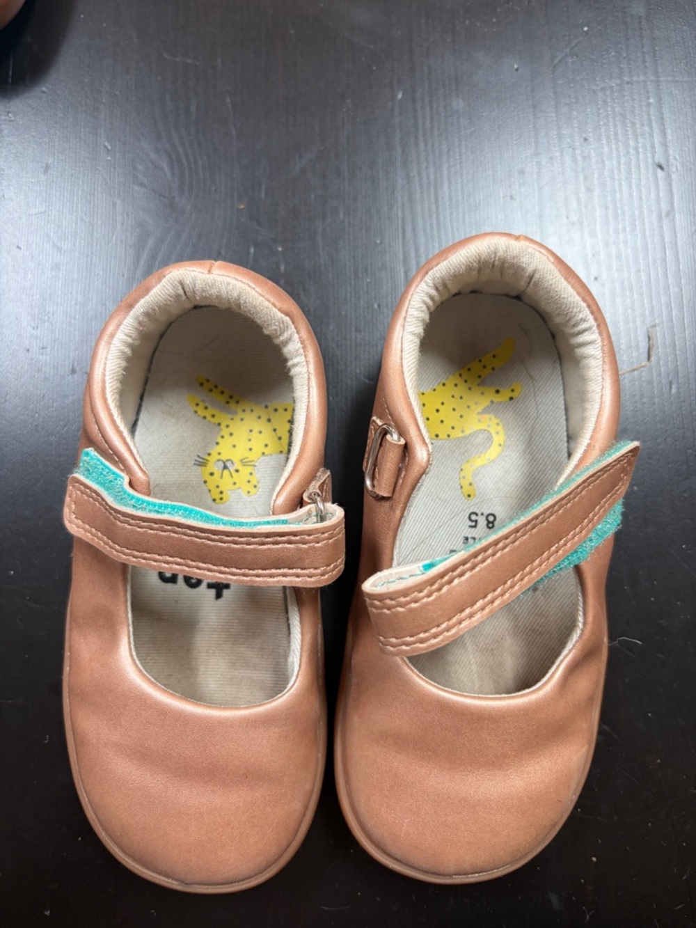 TEN LITTLE Girls' Brown Mary Jane Shoes with Teal Accent